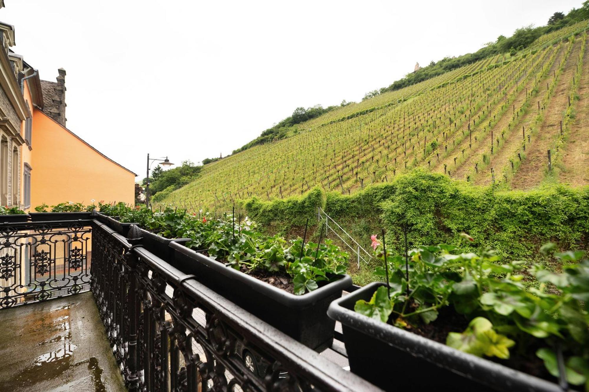 Alte Stadtvilla Am Weinberg 3 Traben-Trarbach Exterior foto